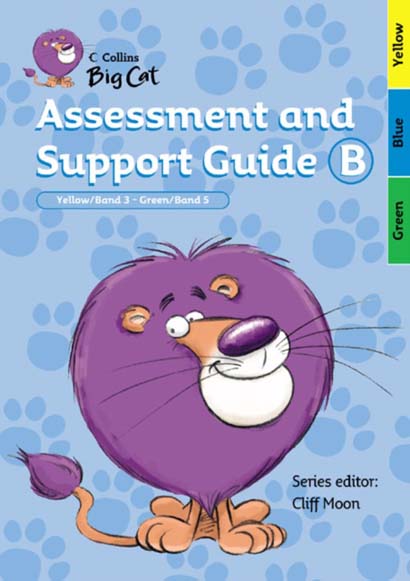 ASSESSMENT AND SUPPORT GUY
