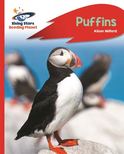 READING PLANET PUFFINS RED A ROCKET PHONICS- ALISO