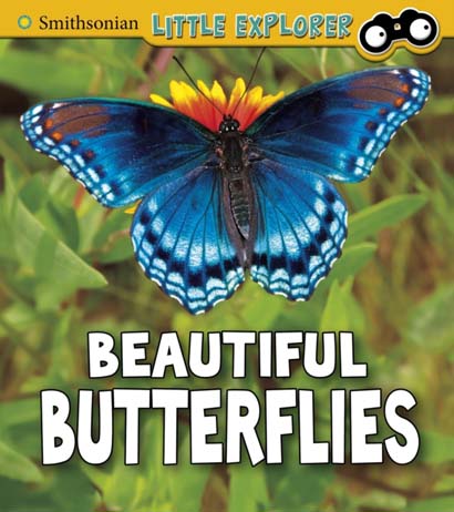 BEAUTIFUL BUTTERFLIES- MELISSA HIGGINS
