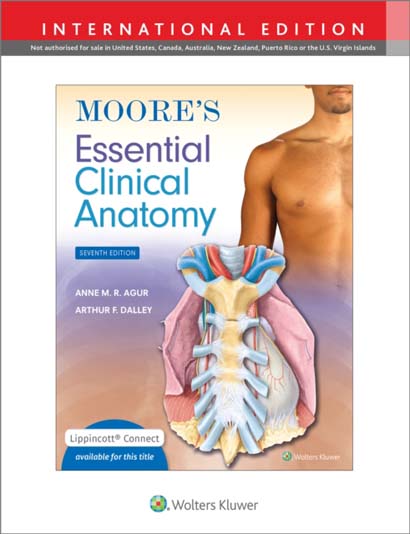 MOORES ESSENTIAL CLINICAL ANATOMY- ANNE M R B SC