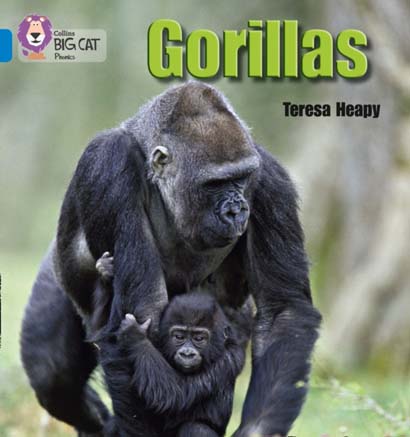 GORILLAS-TERESA