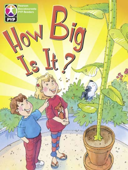 HOW BIG IS IT
