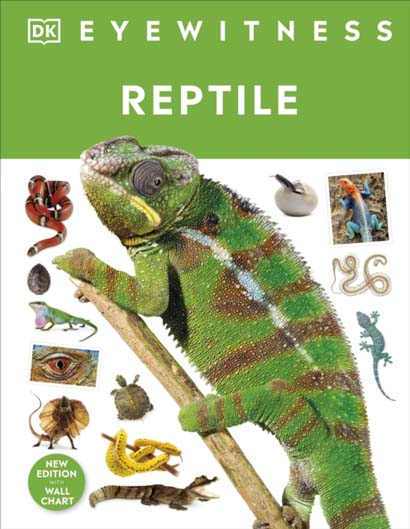 REPTILE - COLIN MCCARTHY
