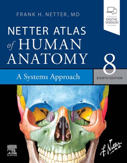 NETTER ATLAS OF HUMAN ANATOMY: A SYSTEMS APPROACH - FRANK H NETTER