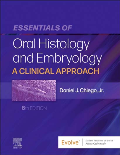 ESSENTIALS OF ORAL HISTOLOGY AND EMBRYOLOGY : A CLINICAL APPROACH - DANIEL J CHIEGO JR