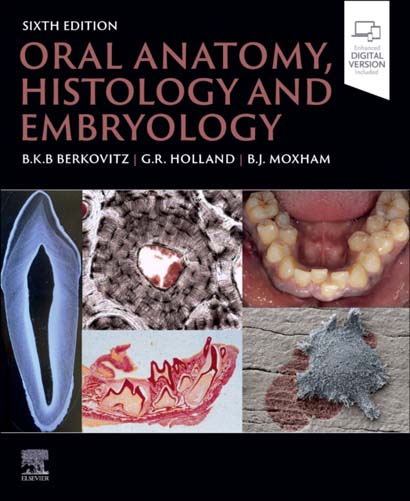 ORAL ANATOMY HISTOLOGY AND EMBRYOLOGY - BARRY BERKOVITZ