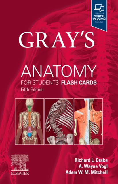 GRYS ANATOMY FOR STUDENTS FLASH CARDS