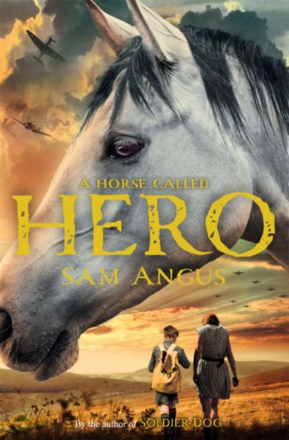 A HORSE CALLED HERO - SAM ANGUS