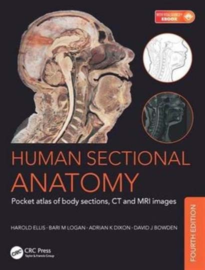 HUMAN SECTION ANATOMY