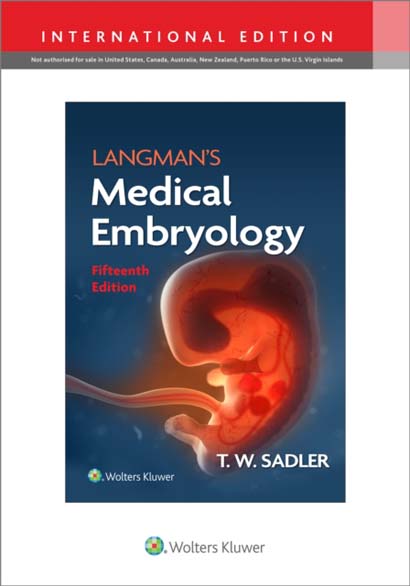 LANGMANS MEDICAL EMBRYOLOGY - DRTW SADLER