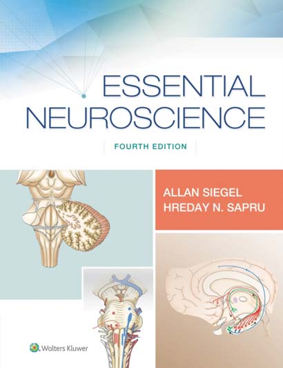 ESSENTIAL NEUROSCIENCE - D SAPRU