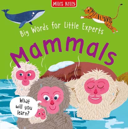 LITTE EXPERT MAMMALS