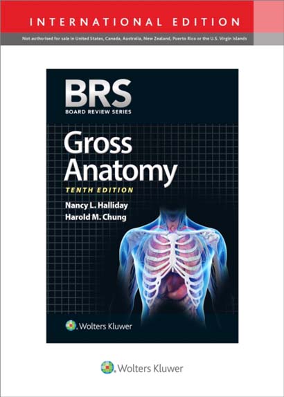 BRS GROSS ANATOMY - MD CHUNG