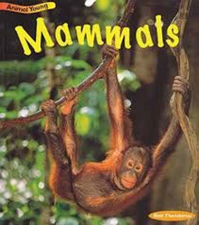 MAMMALS