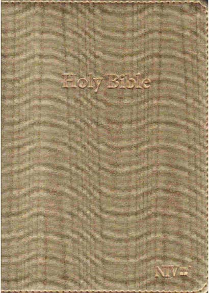 NIV TAKE IT ANYWHERE PU INDEX GOLD
