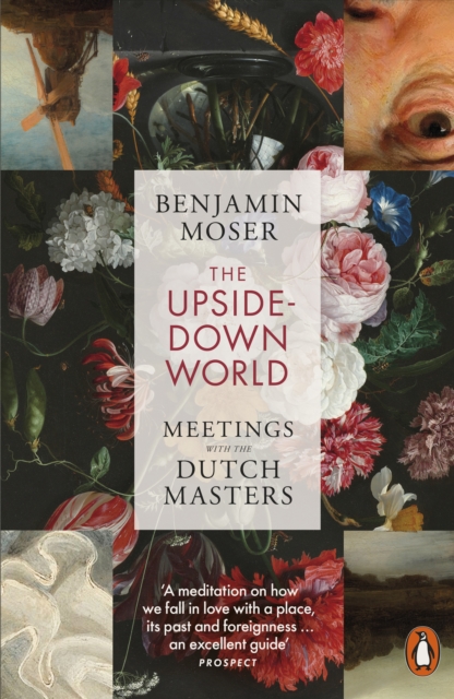 THE UPSIDE DOWN WORLD - BENJAMIN MOSER