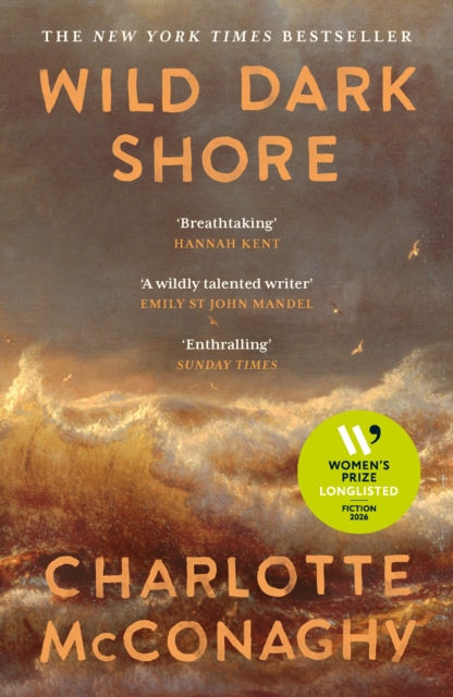 WILD DARK SHORE - CHARLOTTE MCCONAGHY