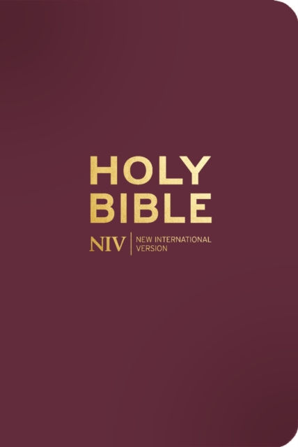 NIV POCKET MULBERRY BIBLE WITH GOLD ZIP - NEW INTERNATIONAL VERSION