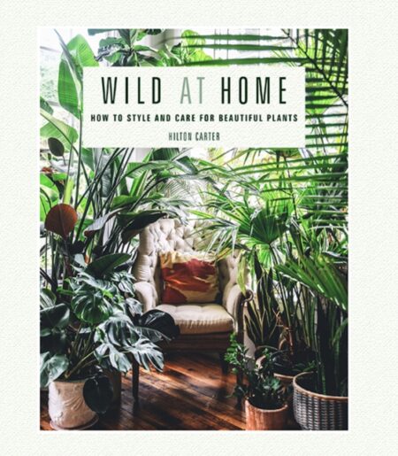 WILD AT HOME - HILTON CARTER