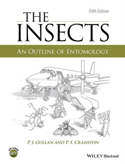 The Insects - P J Gullan