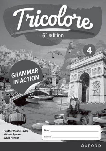 Tricolore 6E Edition: 14 16 Grammar In Action Workbook 4 Pack Of 8 - Sylvia Honnor