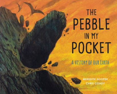 The Pebble In My Pocket - Meredith Hooper