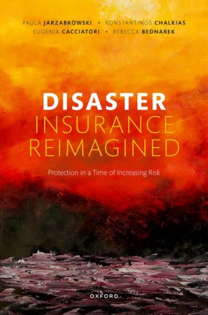 Disaster Insurance Reimagined  - Paula Jarzabkowski