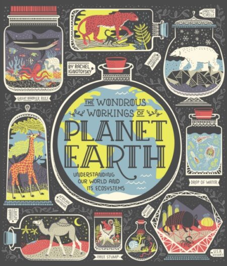 The Wondrous Workings Of Planet Earth - Rachel Ignotofsky