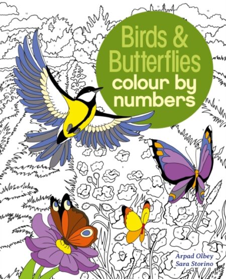 Birds And Butterflies Colour By Numbers - Sara Storino