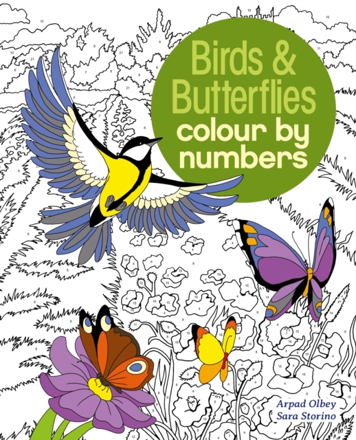 Birds And Butterflies Colour By Numbers - Sara Storino