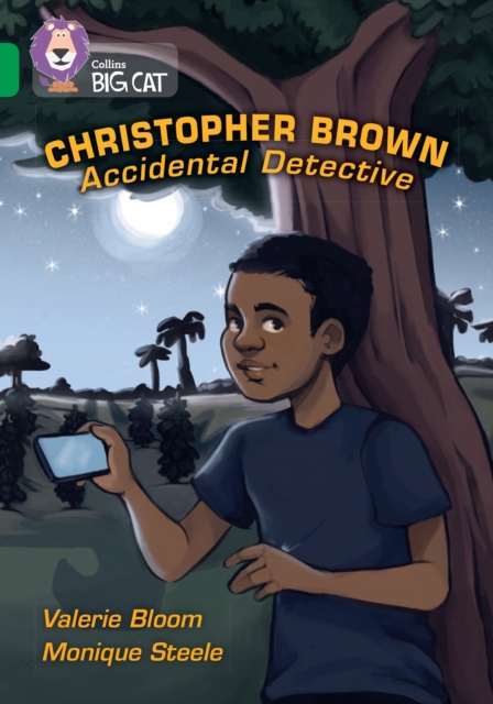 Christopher Brown Accidental Detective Band 15 Emerald - Valerie Bloom