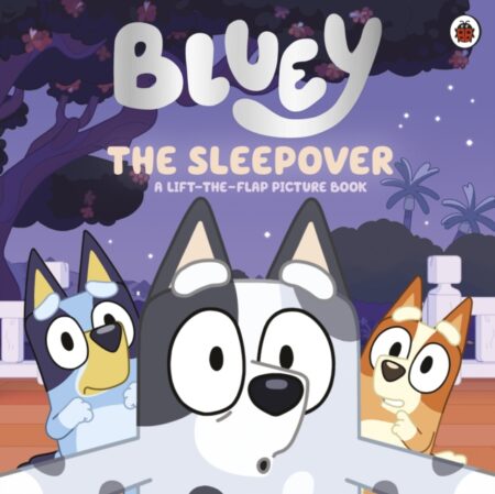 Bluey The Sleepover - Bluey