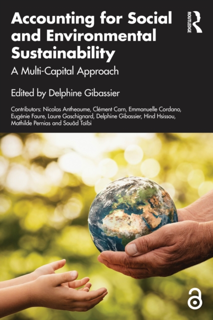 Accounting For Social And Environmental Sustainability A Multi-Capital Approach