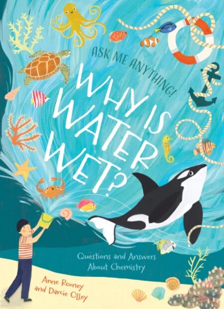 Why Is Water We - Anne Rooney