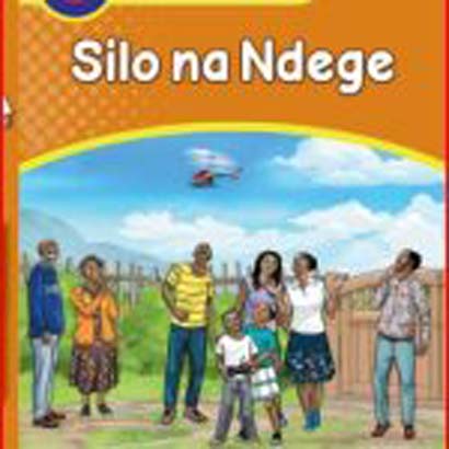 Silo Na Ndege